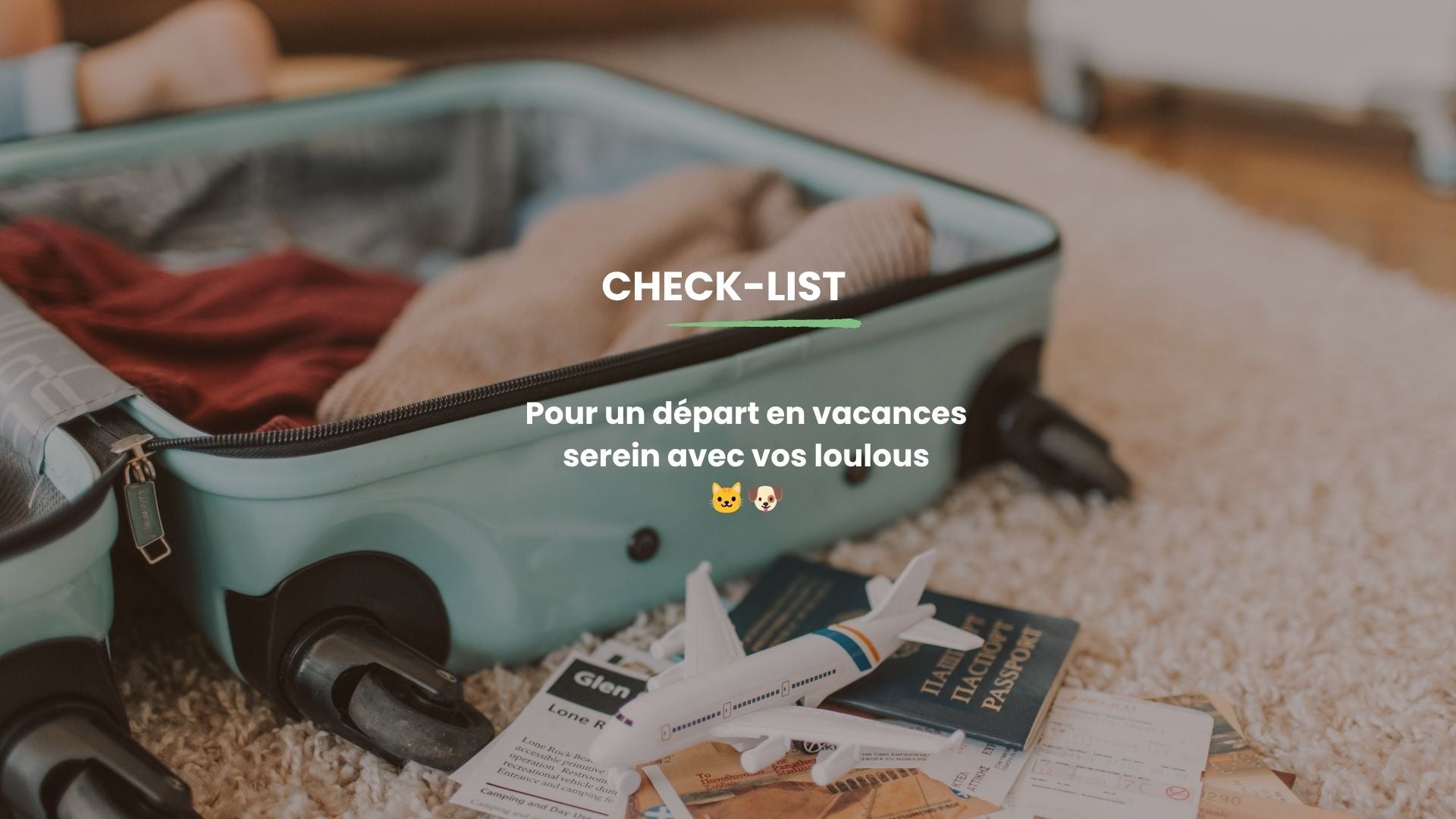 Check-list pour un départ en vacances serein avec votre animal 🐕🐈
