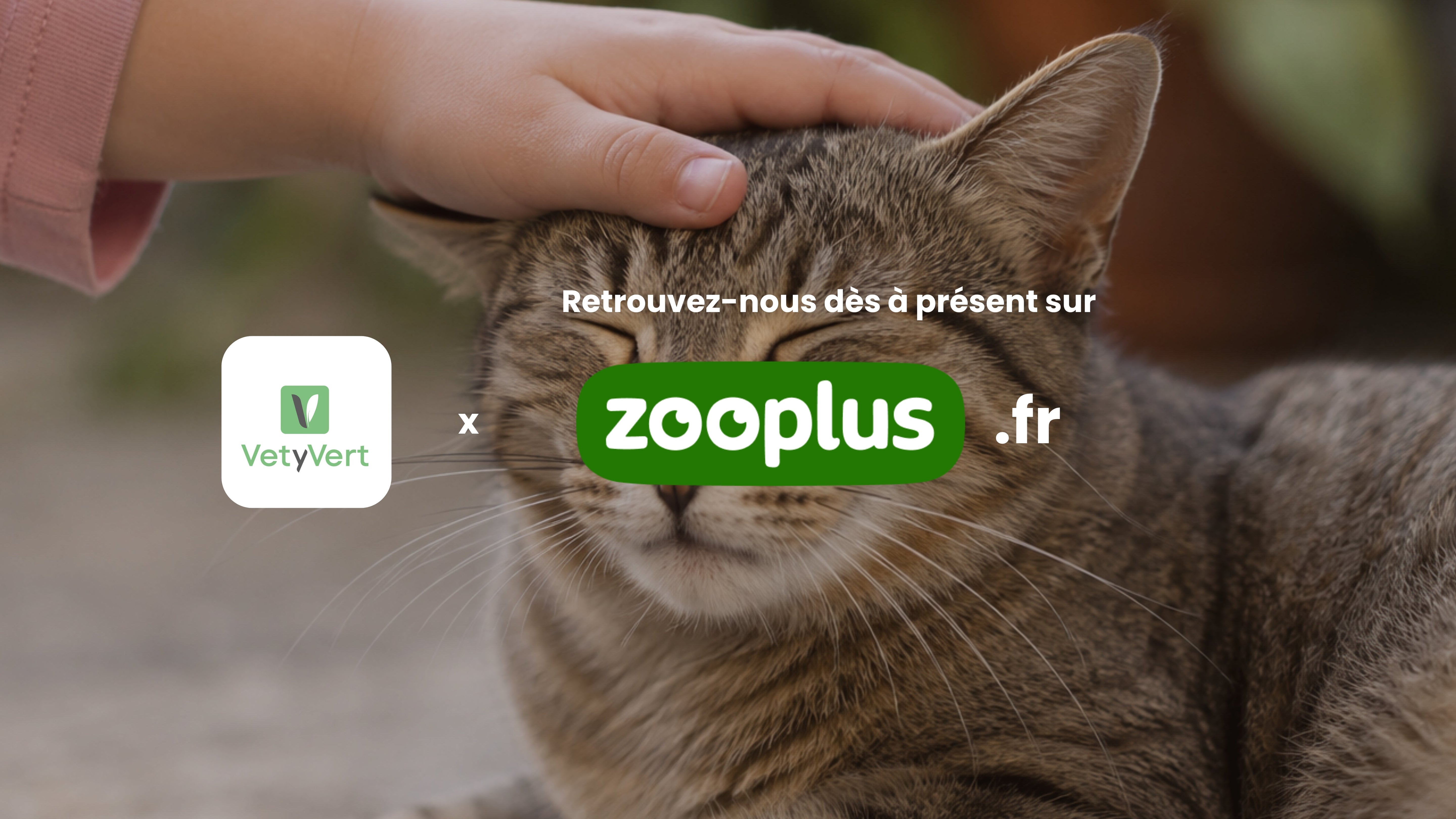 VetyVert rejoint Zooplus.fr 🐾