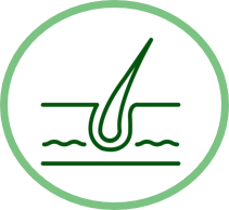 BEAUTÉ DU PELAGE ET SANTÉ DE LA PEAU