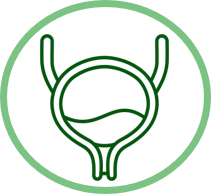 SANTÉ RÉNALE ET URINAIRE