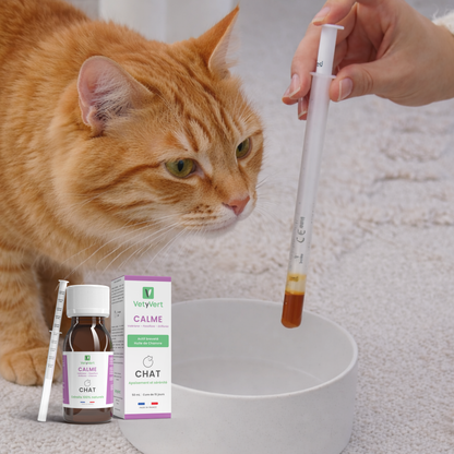 Calme chat : complément alimentaire naturel pour l’apaisement et la sérénité (anti-stress)