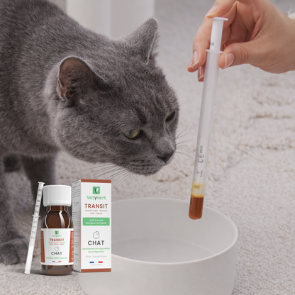 Transit chat : complément alimentaire naturel pour le confort digestif