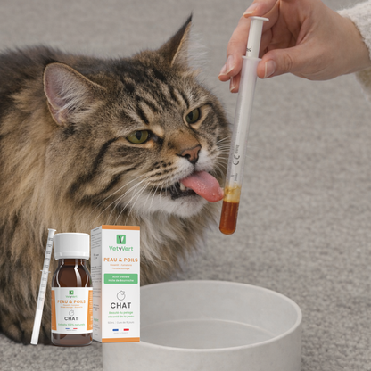 Peau & poils chat : complément alimentaire naturel pour une peau saine et un pelage brillant
