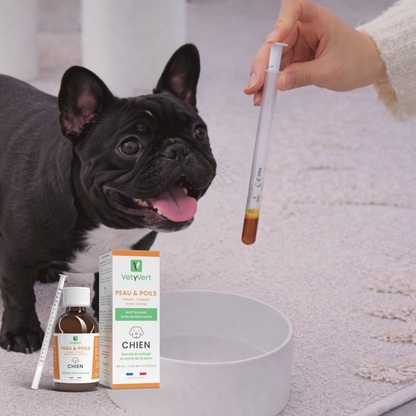 Peau & poils chien : complément alimentaire naturel pour une peau saine et un pelage brillant