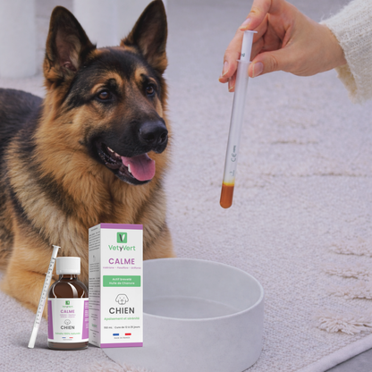 Calme chien : complément alimentaire naturel pour l’apaisement et la sérénité (anti-stress)