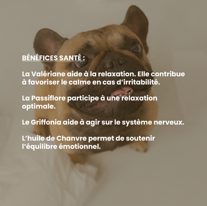 Calme chien : complément alimentaire naturel pour l’apaisement et la sérénité (anti-stress)