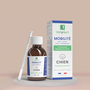 Mobilité chien : complément alimentaire naturel pour le confort articulaire