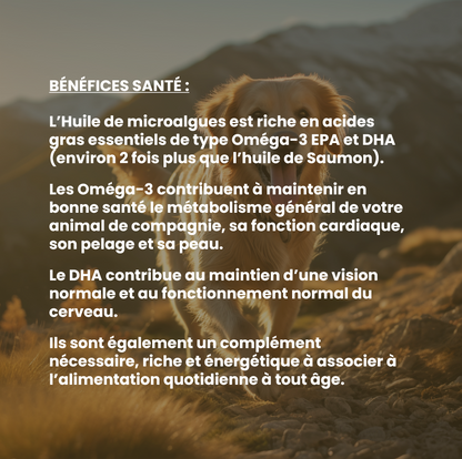 Oméga-3 chien : complément alimentaire du quotidien riche en oméga-3, EPA et DHA