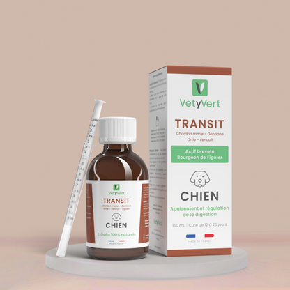 Transit chien : complément alimentaire naturel pour le confort digestif