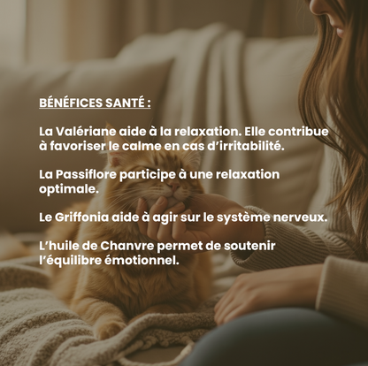 Calme chat : complément alimentaire naturel pour l’apaisement et la sérénité (anti-stress)