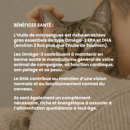 Oméga-3 chat : complément alimentaire du quotidien riche en oméga-3, EPA et DHA