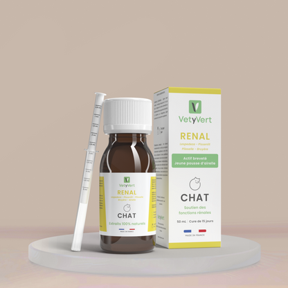 Rénal chat : complément alimentaire naturel pour le soutien des fonctions rénales et urinaires
