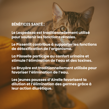 Rénal chat : complément alimentaire naturel pour le soutien des fonctions rénales et urinaires