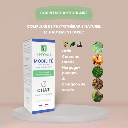 Mobilité chat : complément alimentaire naturel pour le confort articulaire