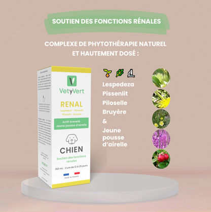 Rénal chien : complément alimentaire naturel pour le soutien des fonctions rénales et urinaires