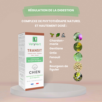 Transit chien : complément alimentaire naturel pour le confort digestif