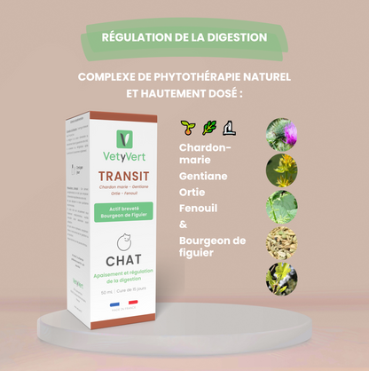 Transit chat : complément alimentaire naturel pour le confort digestif