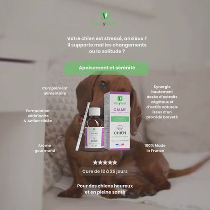 Calme chien : complément alimentaire naturel pour l’apaisement et la sérénité (anti-stress)