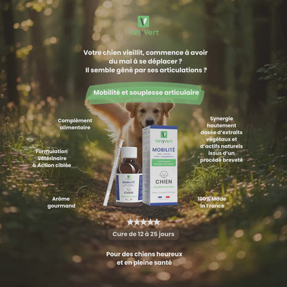 Mobilité chien : complément alimentaire naturel pour le confort articulaire